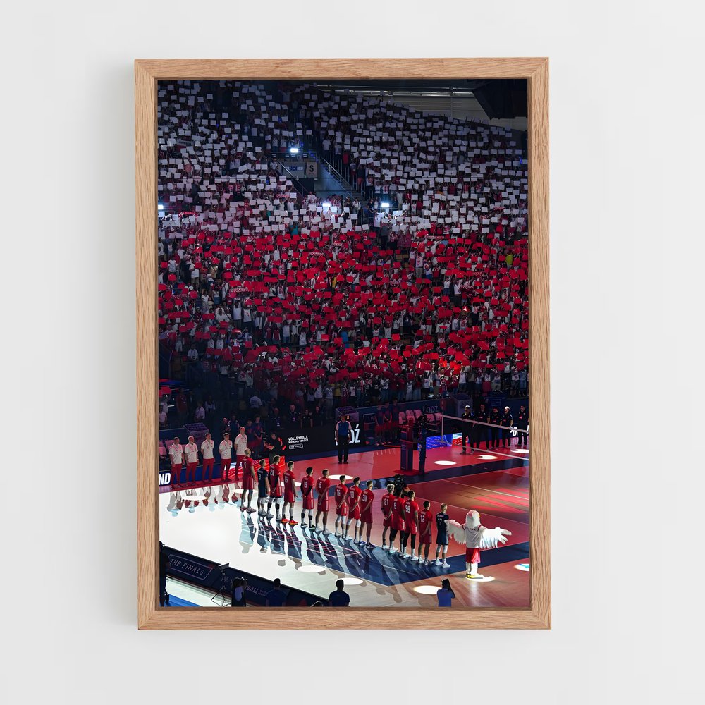 Poster La Fureur de la Foule – affiche Volleyball (vue 4)